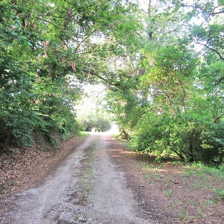 Montecasciano - Oleandro Capranica