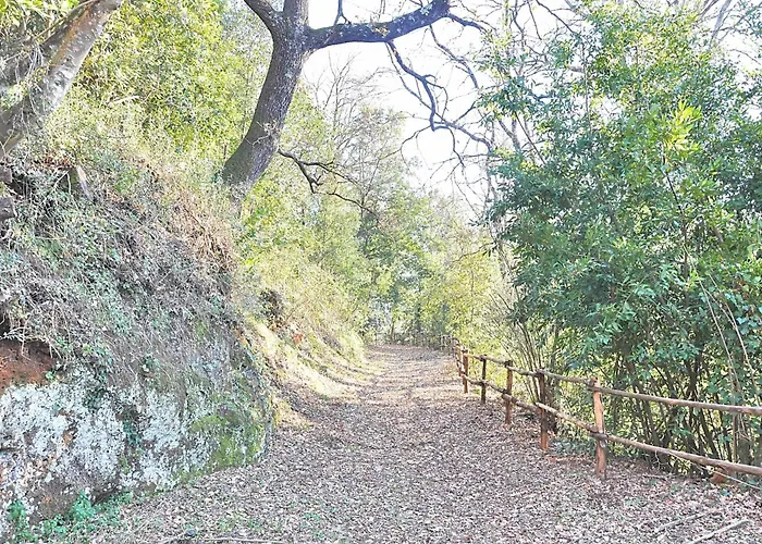 Montecasciano - Oleandro Capranica